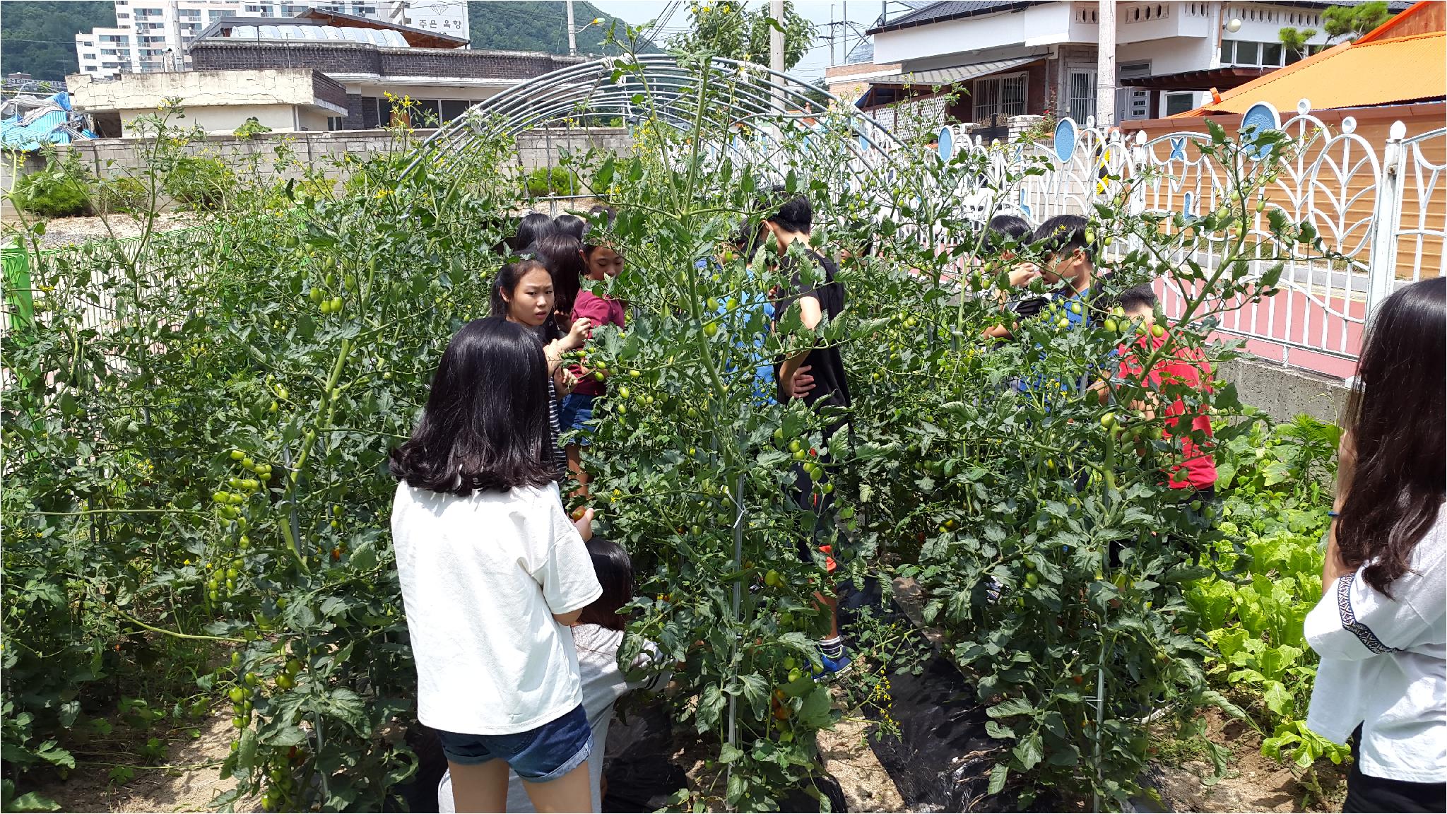 합리적 소비역량 함양을 위한 School Farm(6학년 1반)