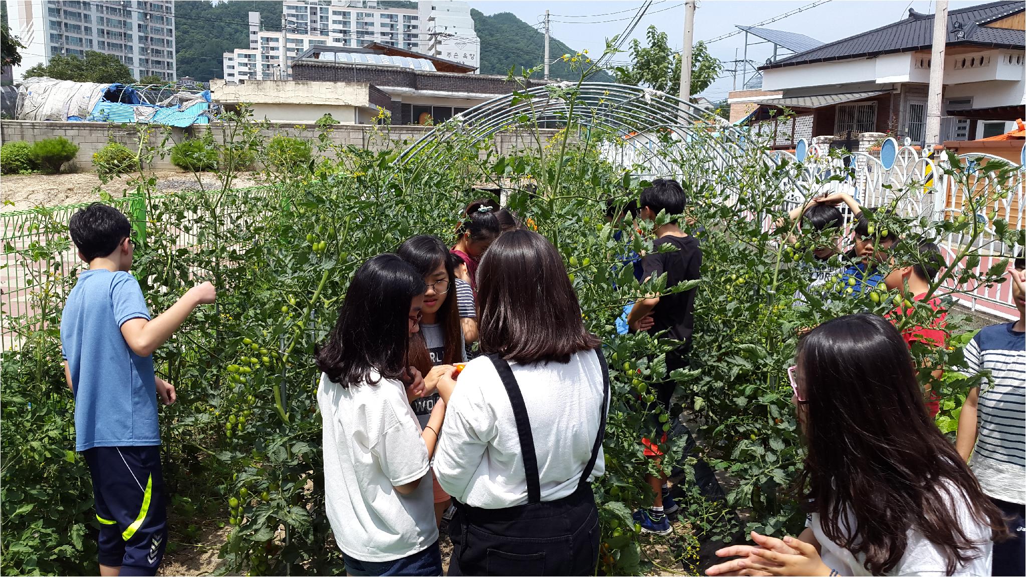 합리적 소비역량 함양을 위한 School Farm(6학년 1반)