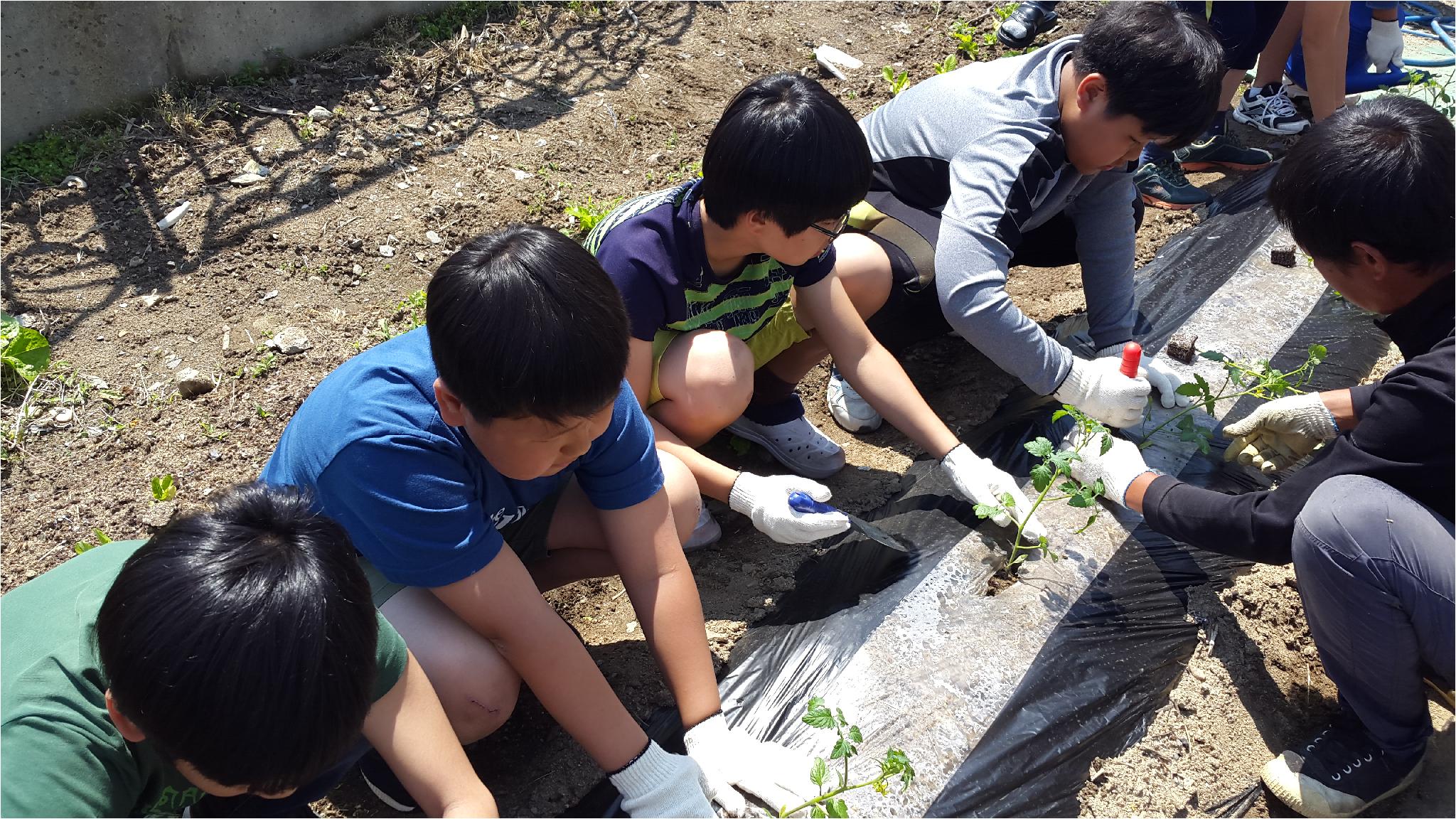 합리적 소비역량 함양을 위한 School Farm(6학년 1반)