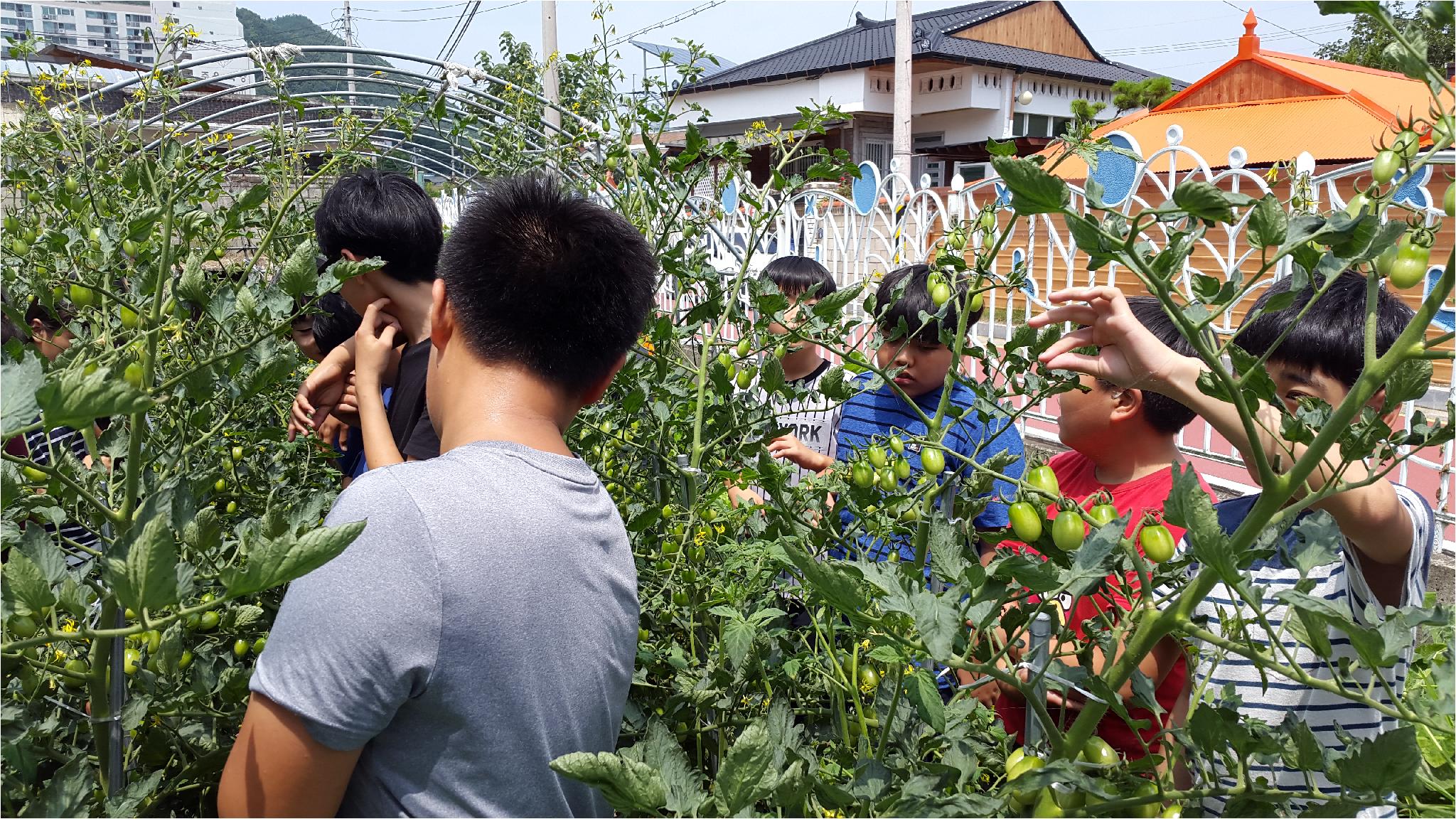 합리적 소비역량 함양을 위한 School Farm(6학년 1반)